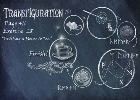 Transfiguration Harry Potter Spells Poster