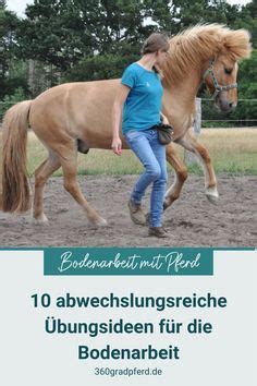 Stangentraining Mit Pferd Ideen Pferd Pferde Training