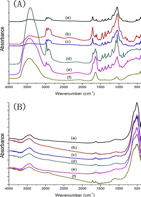 Fourier Transform Infrared Spectroscopy Absorbance Spectra Of 10 Mdp