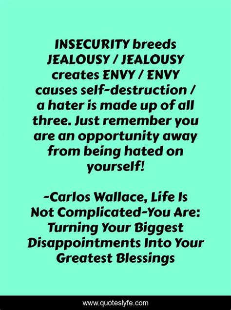 Insecurity Breeds Jealousy Jealousy Creates Envy Envy Causes Self