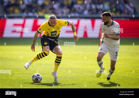 Mönchengladbach Germany 13th Apr 2024 Marius Wolf BVB Franck