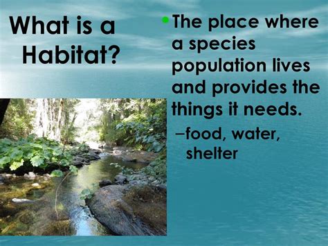 Ecology: Ecosystems Cornell Notes Page ppt download