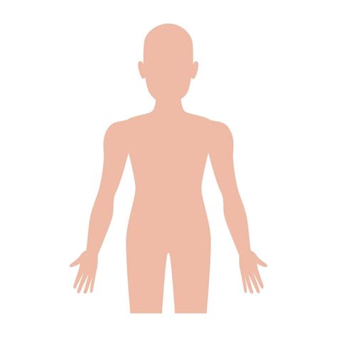 Body Human Silhouette 11252958 Vector Art At Vecteezy