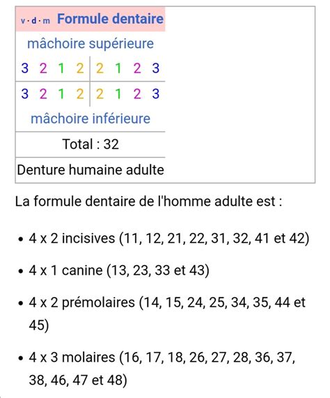 D Couvrir Imagen Formule Dentaire Adulte Fr Thptnganamst Edu Vn