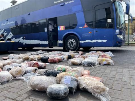 Capturan a 11 miembros del Tren de Aragua en Chile Video Nuevo Día