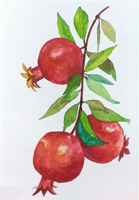 Pomegranate Tree Drawing - DRAWINGS OF LOVE