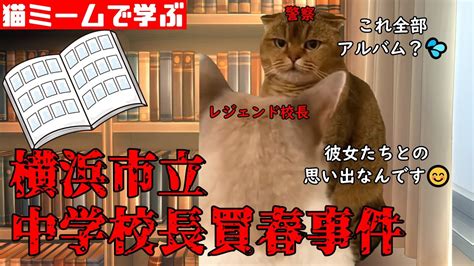 猫ミームで学ぶ横浜市立中学校長買春事件 猫マニ 猫ミーム Youtube