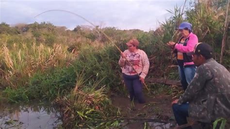 Pesca No Atoleiro Deu Brutos Pescaria At A Noite Neste Lugar N O Falha