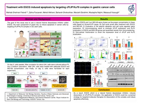 Pdf Treatment With Egcg Induced Apoptosis By Targeting Cflip Ku