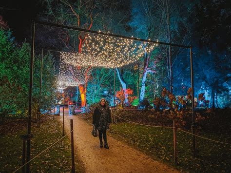 Magical Dunham Massey Christmas Lights Trail Review (2025)!