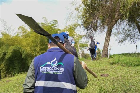 Secretaría De Medio Ambiente Sembró Mil árboles Para Reforestar Predio