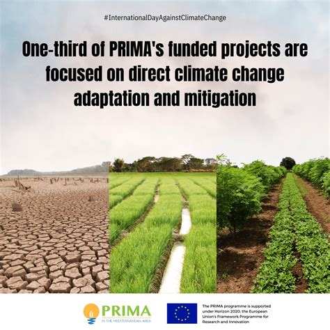 Celebrating International Day Against Climate Change Prima S