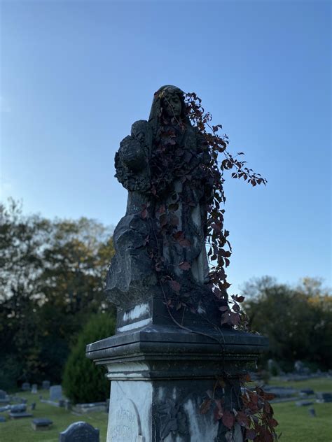 Mississippi doctors grave looming over a 6 acre cemetery. 19th century. Monroe County ...