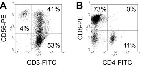 Inhibition Of Human Pancreatic Tumor Growth By Cytokine Induced Killer Cells In Nude Mouse