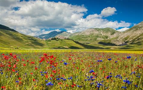 Castelluccio Di Norica SK Service