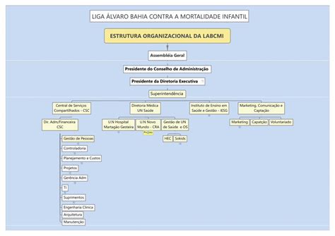 Pdf Estrutura Organizacional Da Labcmi Home Martagaogesteira Org