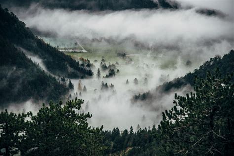 Gratis Afbeeldingen Landschap Boom Natuur Bos Buitenshuis