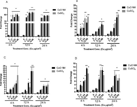 Hmox Expression Stimulated By Cuo Nms And Cuso In In Vitro