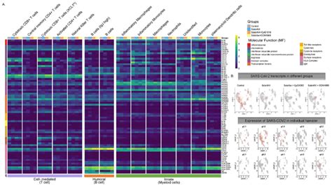 Average Log Fold Change Gene Expression Analysis A Average Log Fold