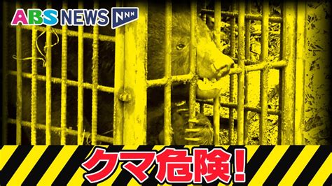 【速報】横手市で80代男性がクマに襲われてけが（2024年8月13日掲載）｜abs News Nnn