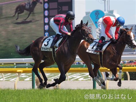 【東京6r2歳新馬】圧倒的人気アカネサス快勝もヒヤヒヤのデビュー戦 競馬ニュースなら競馬のおはなし