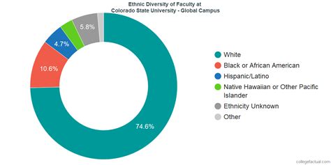 Colorado State University - Global Campus Diversity: Racial ... 
