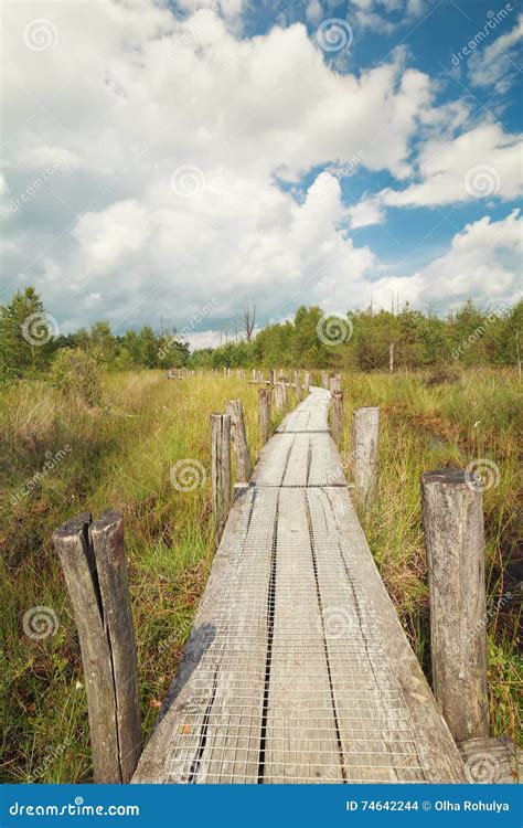 Path Through Marsh At Uath Lochans In Scotland Stock Photo
