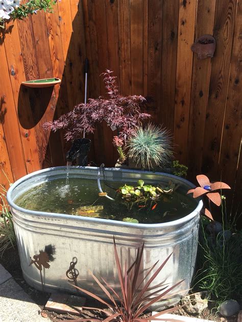 My Horse Trough Pond Garden Projects Horse Trough Outdoor