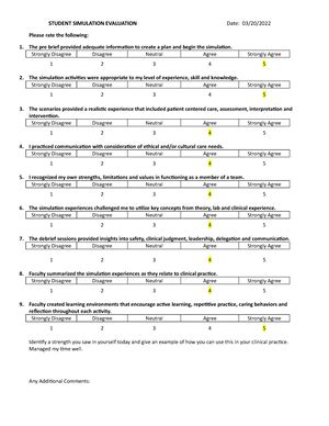 Nsc Care Plan Template Gordon Clinical Nursing Process Form North