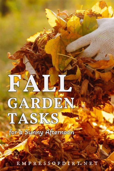 Great Fall Weather Get These Garden Jobs Done — Empress Of Dirt