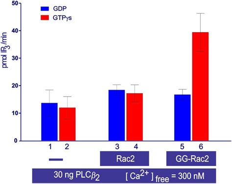 Activation of PLCβ2 by GTP bound prenylated Rac2 in the cell free