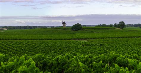 Interesting Facts about Haut- Médoc in Bordeaux region | Winetourism.com