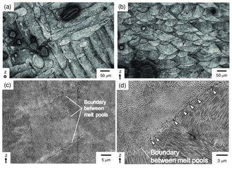 A B Optical Micrographs C D SEM Image Showing Microstructure Of