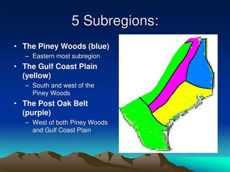 The Gulf Coastal Plain Region Ppt Download