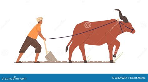 Indian Farmer Plowing With Traditional Primitive Plough And Ox Farm