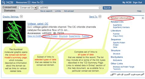 NCBI Conserved Domain Database CDD Help