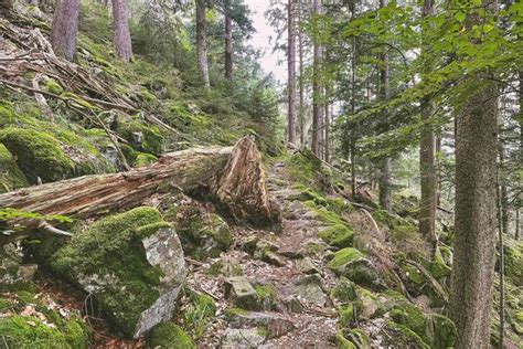 Rund um das Kloster St Trudpert Münstertal BERGFEX Wanderung