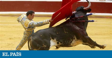 El Supremo impide a San Sebastián celebrar una consulta sobre toros