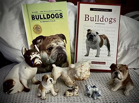 Vintage English Bulldog Books L R Bulldogs” By Gabrielle E Forbush