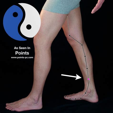 Acupuncture Point: Spleen 6 - Acupuncture Technology News