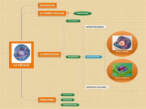 Mapa Mental La Celula Mind Map