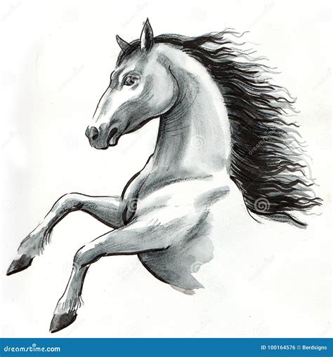 White Horse Stock Illustration Illustration Of Stallion 100164576