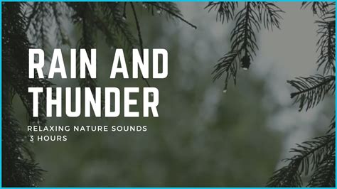 3 Hours Of Rain And Thunder Nature Sounds Relaxing Nature Sounds For