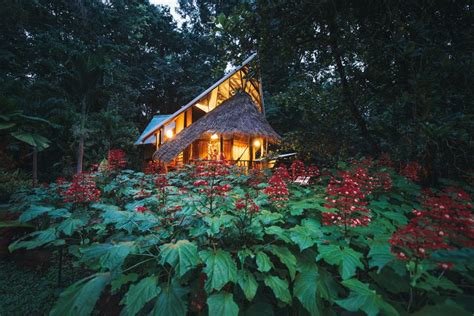 Costa Rica Tree House Lodge Book Direct For Best Rates Extras