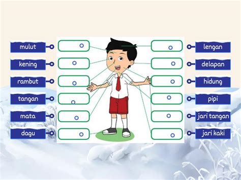 bagian anggota tubuh labelled diagram