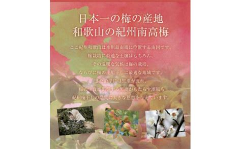 福梅本舗の紀州産小梅（和歌山県産） ご家庭用 しそ漬小梅（塩分18％）産地直送 200g 和歌山県白浜町 セゾンのふるさと納税