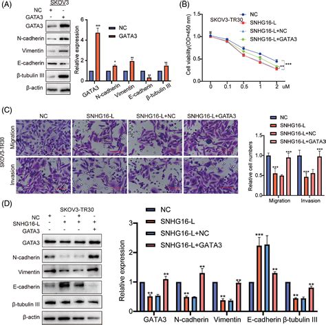 Or Free Full Text Prpf6 Promotes Metastasis And Paclitaxel