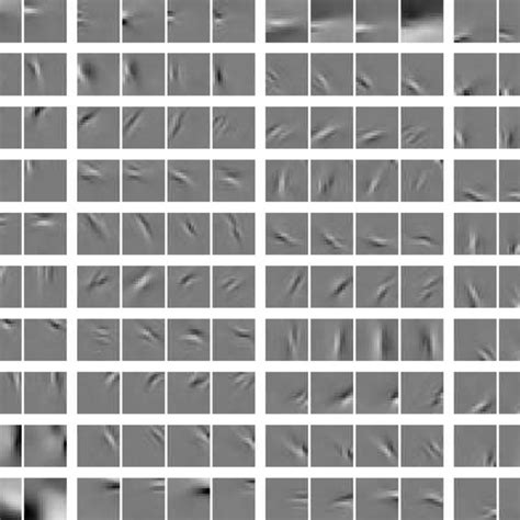 Typical Classical Receptive Fields Of Neurons Early In The Visual