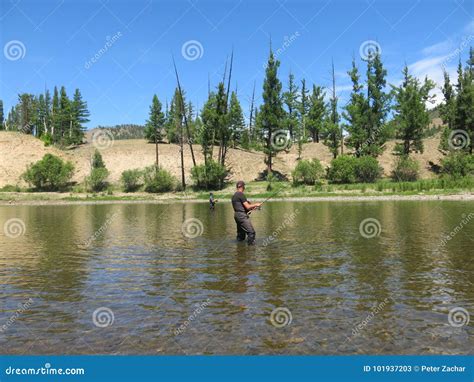 Fishing Taimen Fish Stock Image Image Of Nature Sand 101937203