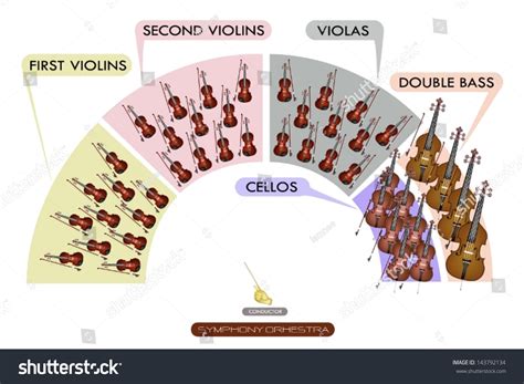 Illustration Collection Of Different Sections Of String Instrument For ...